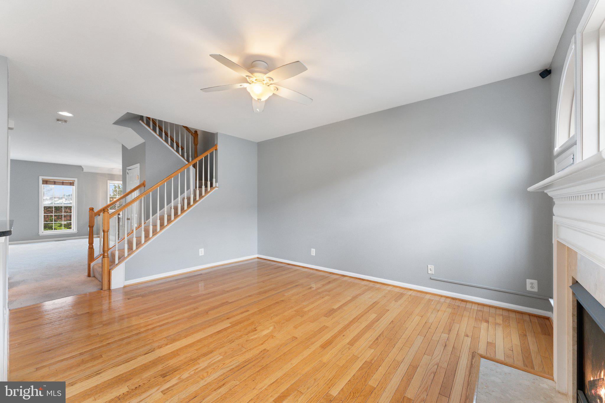 8923 Purple Lilac Cir