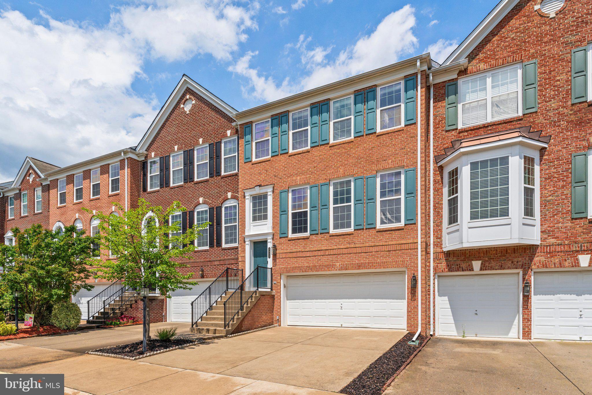 8923 Purple Lilac Cir