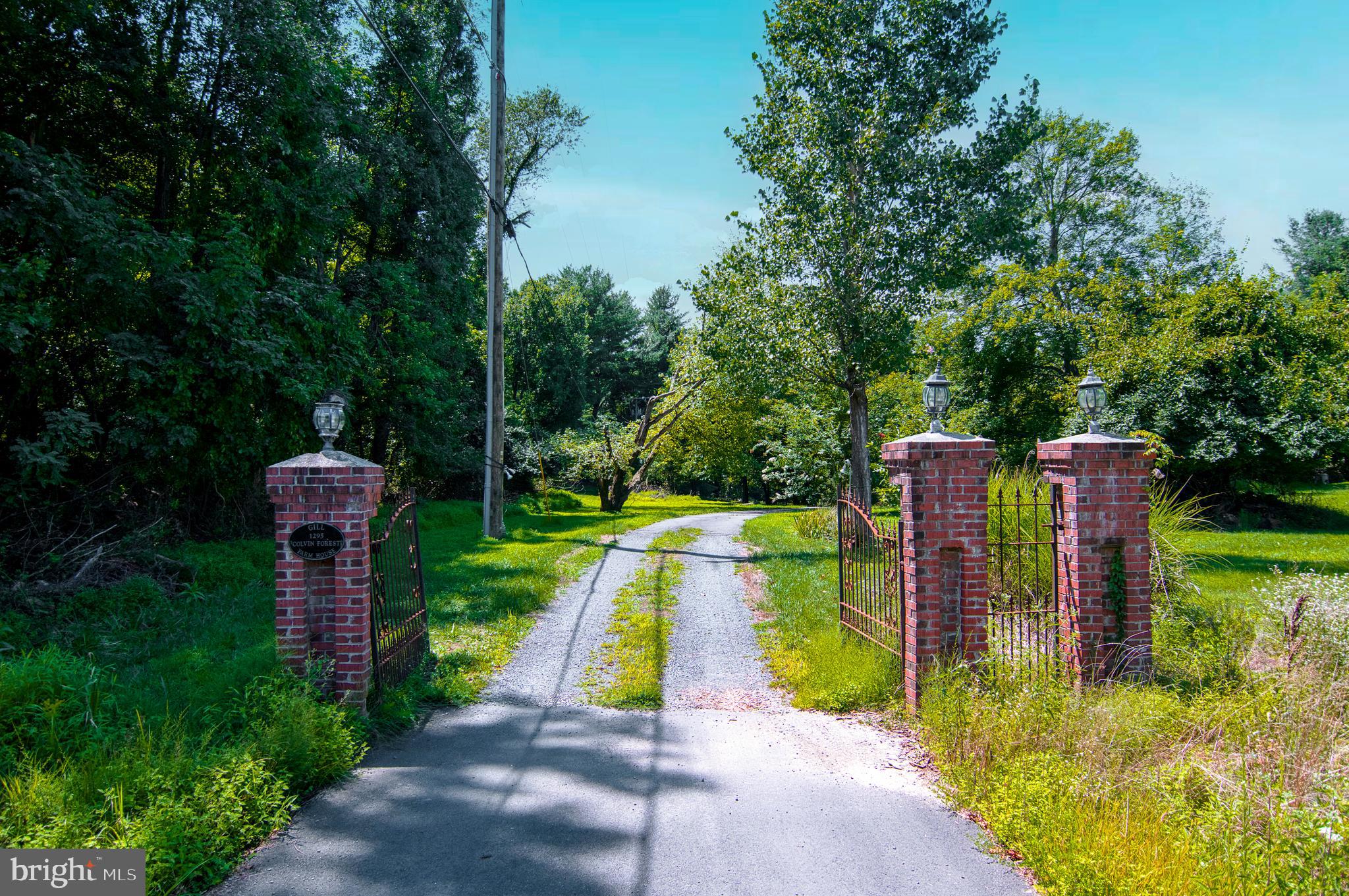 1295 Colvin Forest Dr