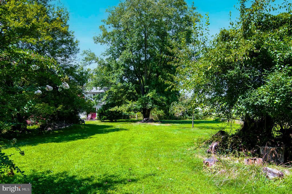 1295 Colvin Forest Dr
