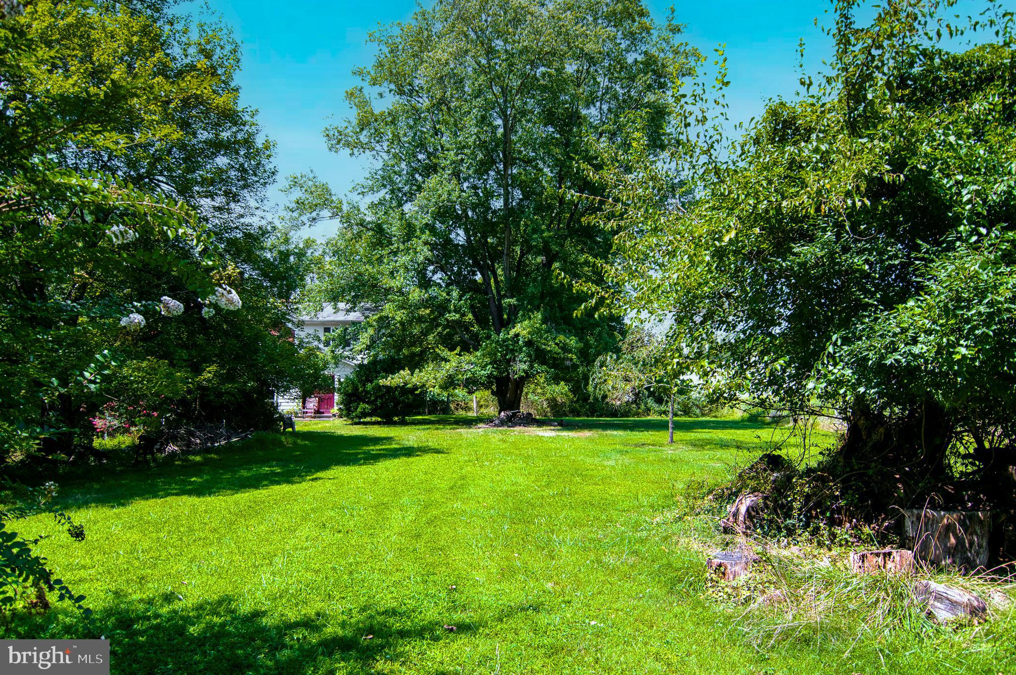 1295 Colvin Forest Dr