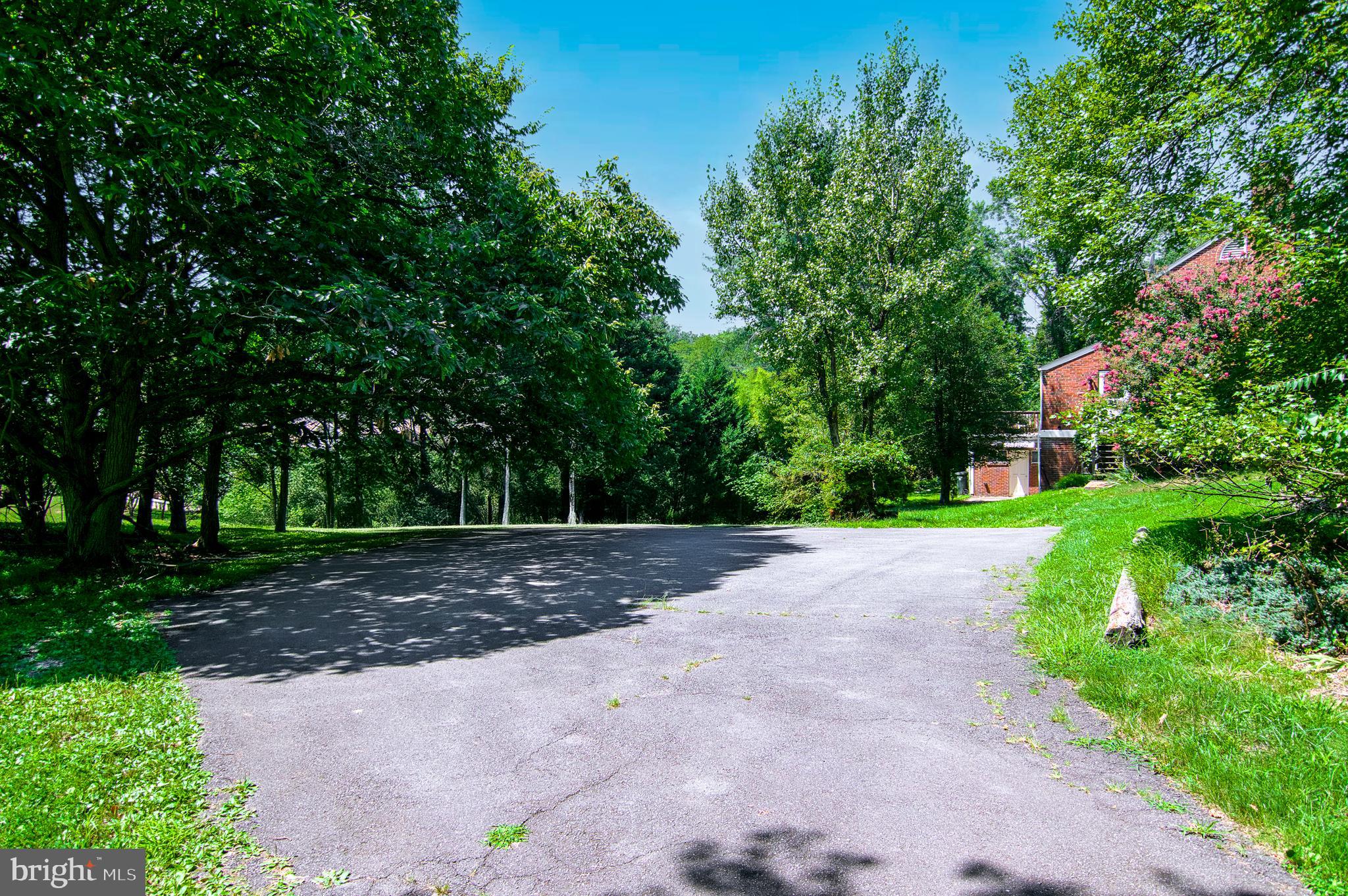 1295 Colvin Forest Dr