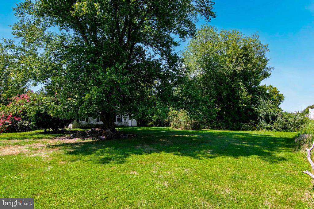 1295 Colvin Forest Dr