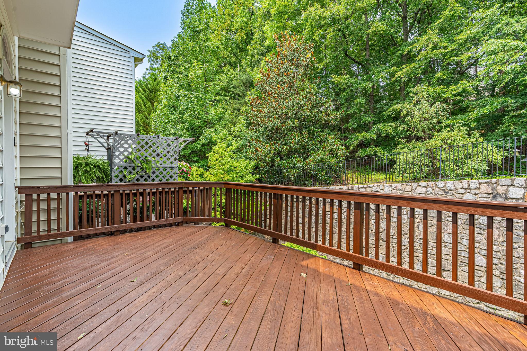 7804 LOCUST LEAF LN