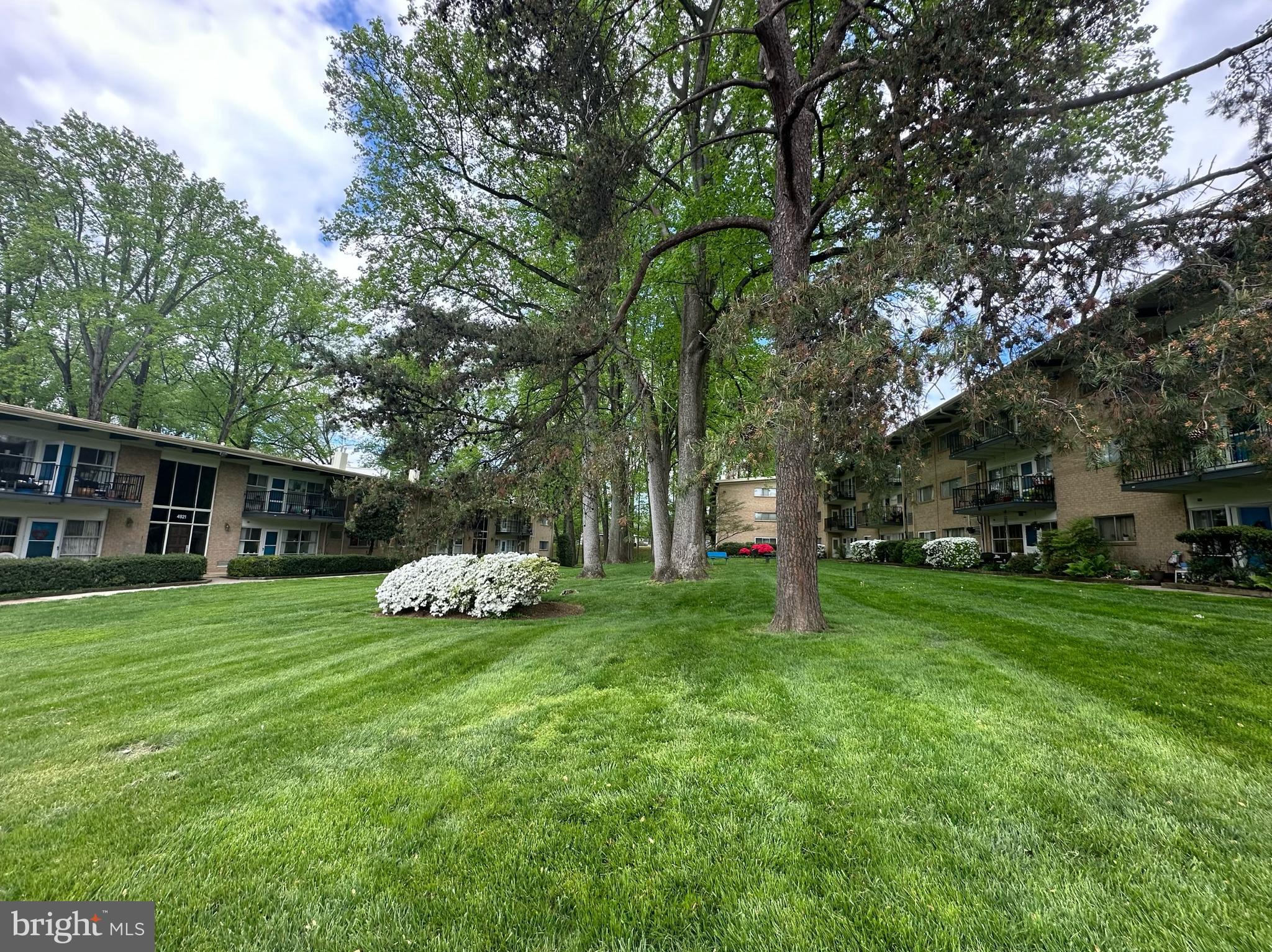 4921 Americana Dr #104