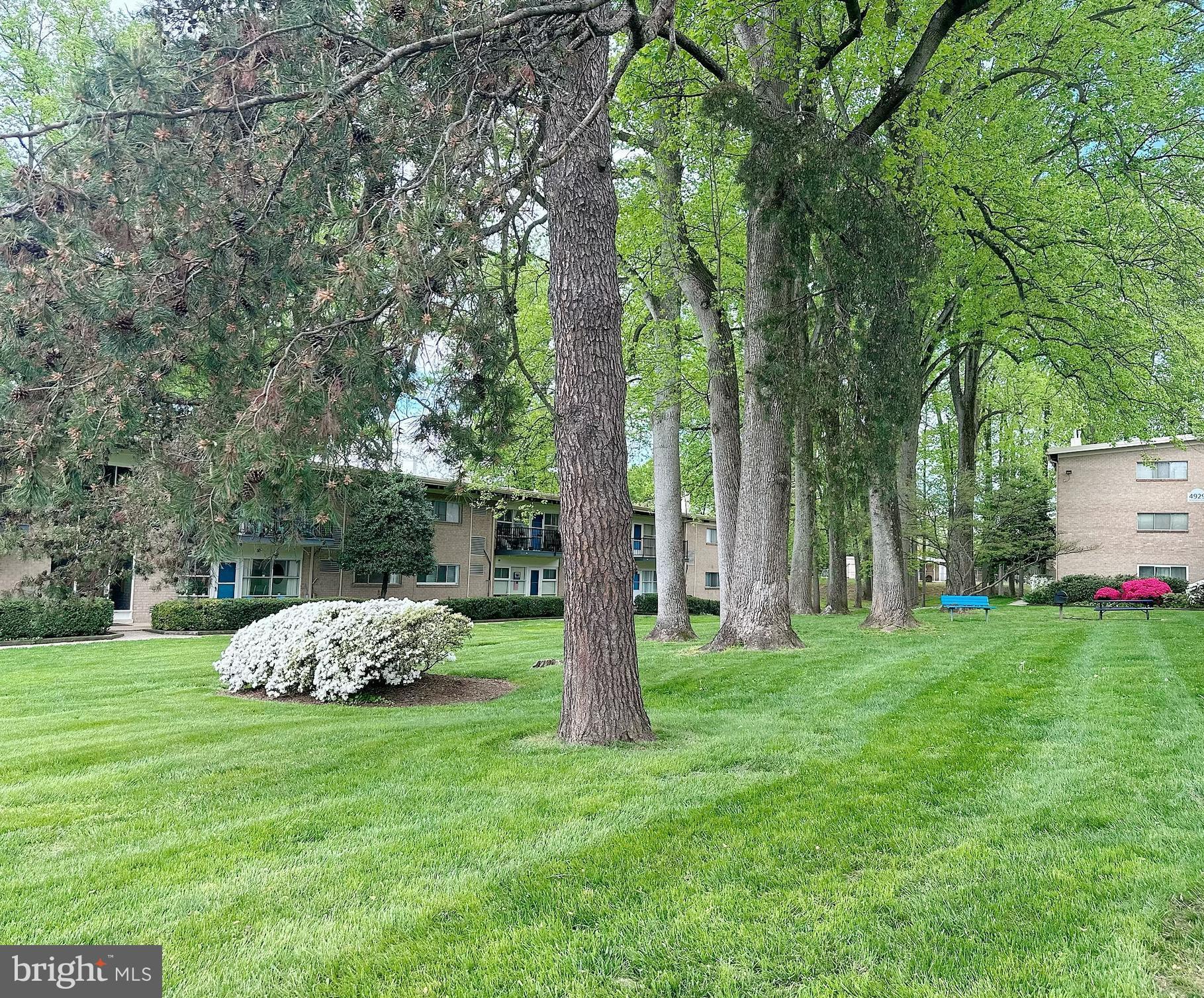 4921 Americana Dr #104