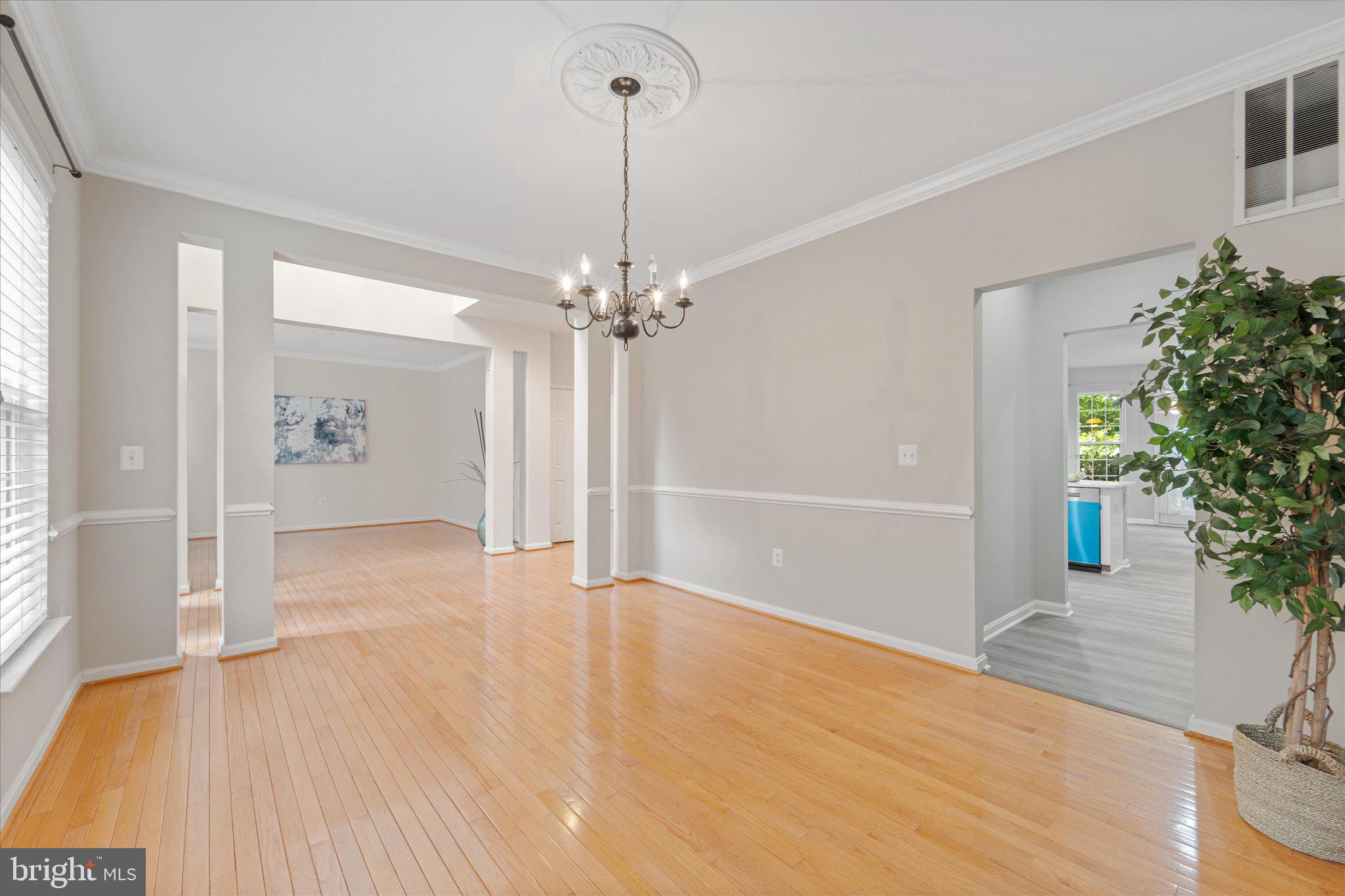 905 ROYAL ELM CT