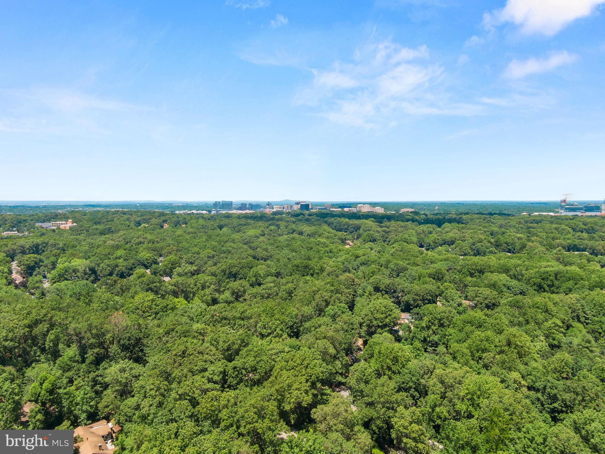 11806 Triple Crown Rd