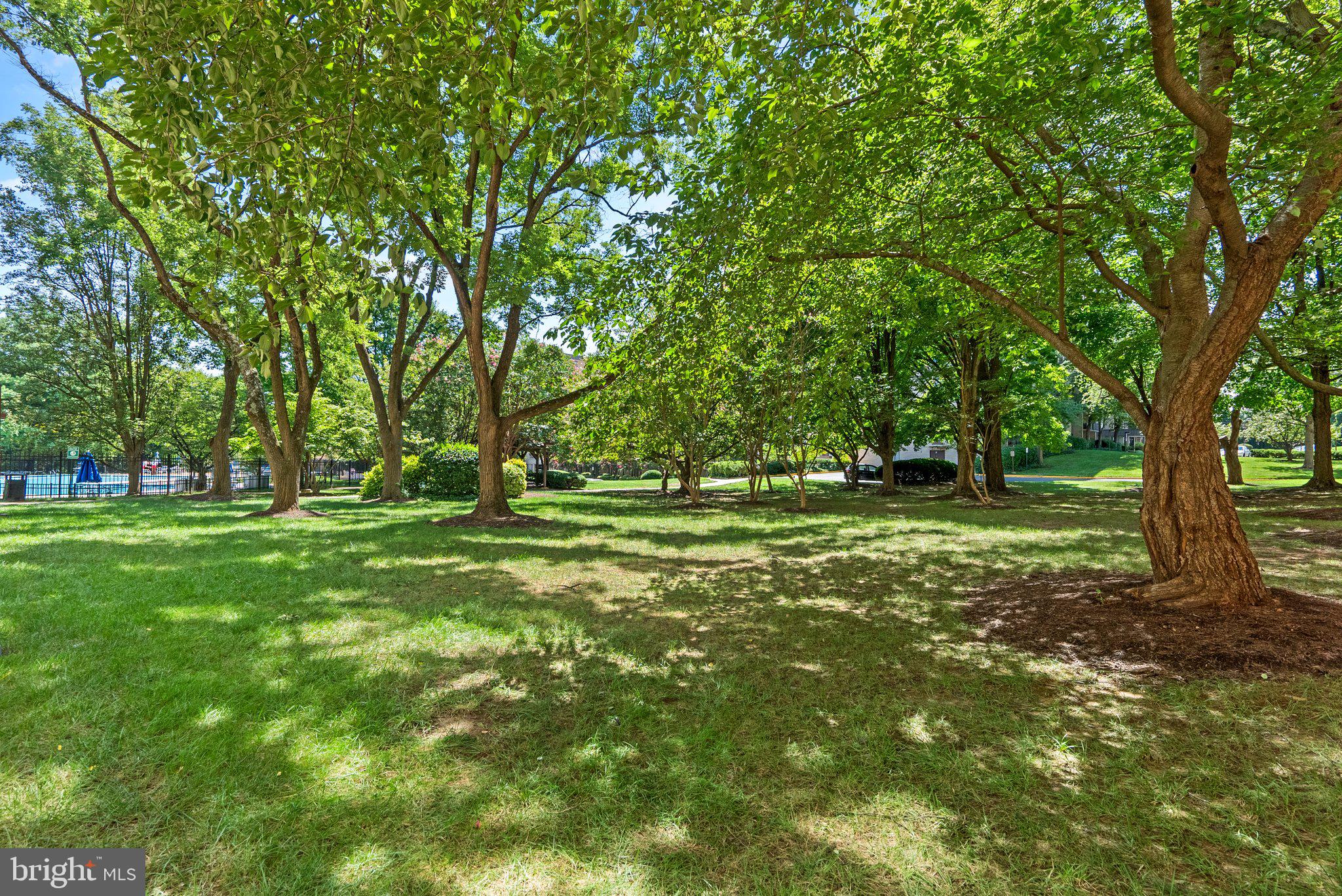 6001 Arlington Blvd #319