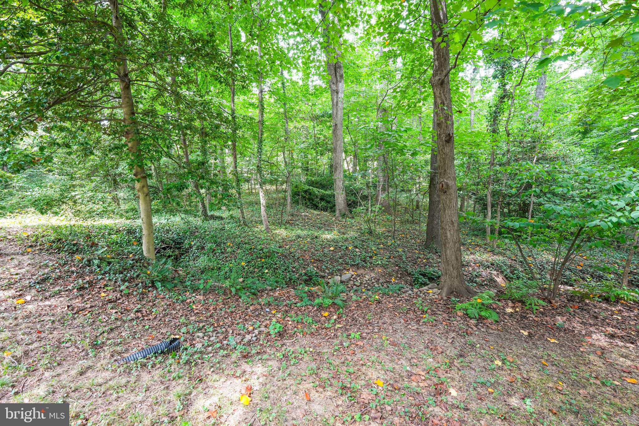 7604 Maydan Ln