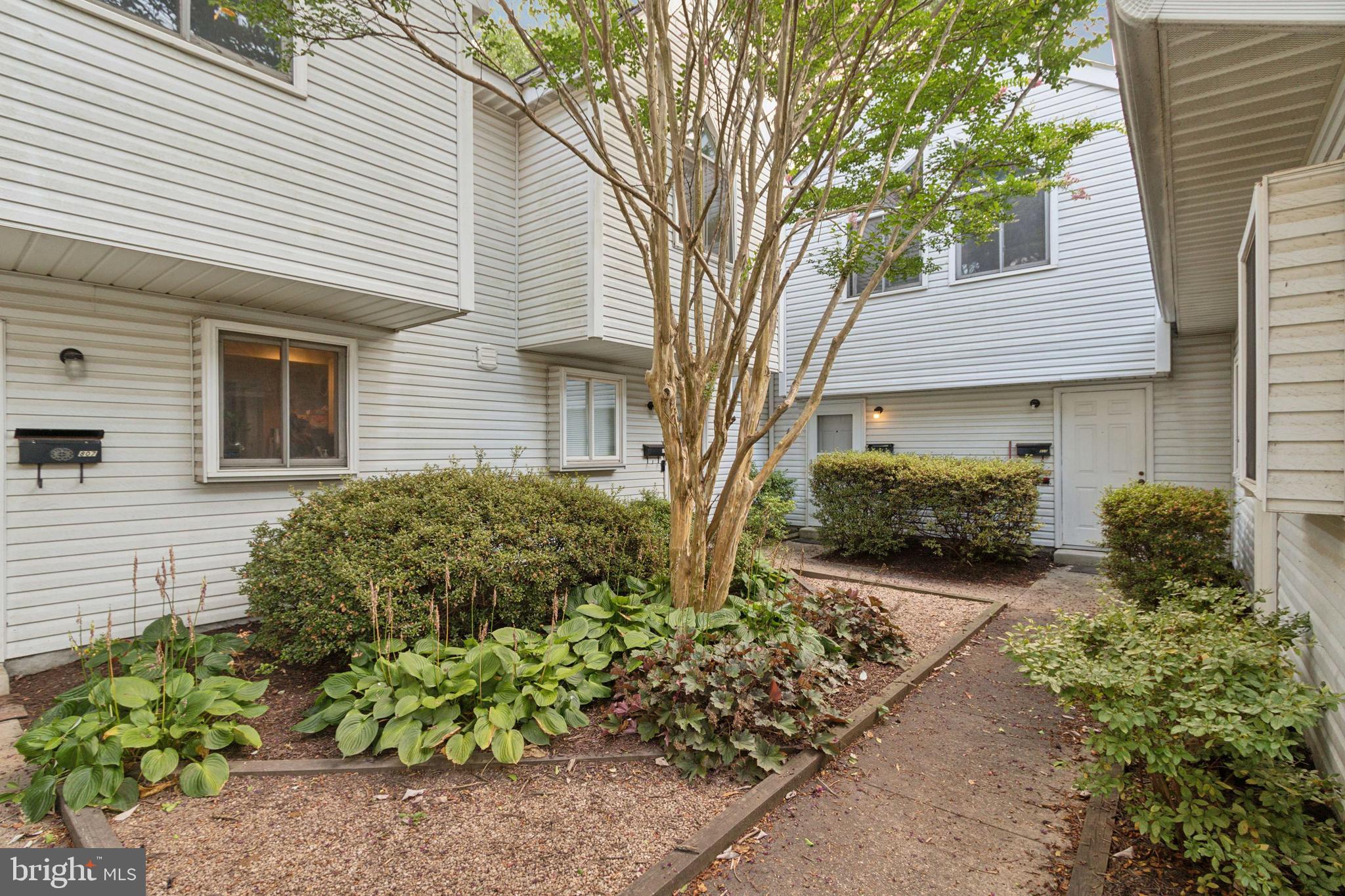 813 Locust St #2