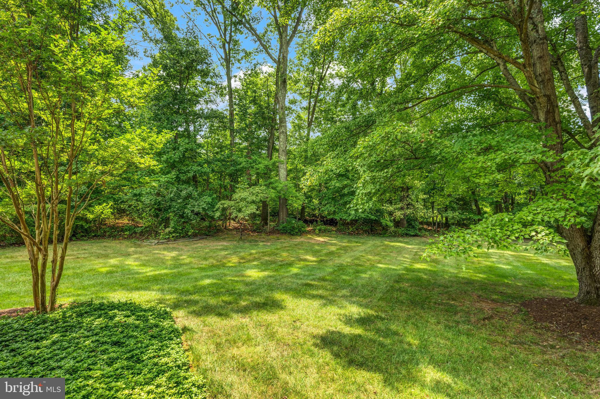 1902 Buckthorn Ln