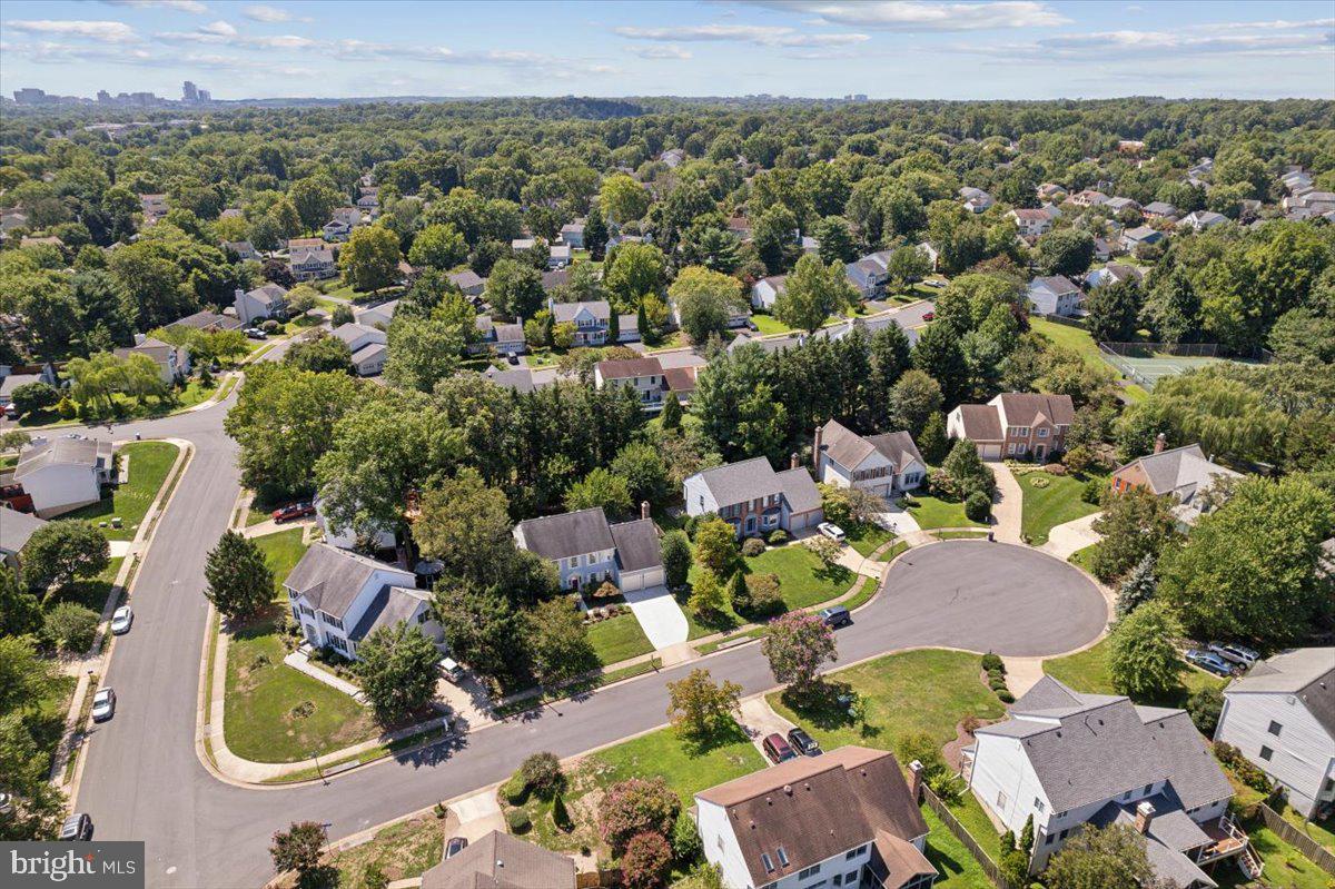 12591 Cross Hollow Ct