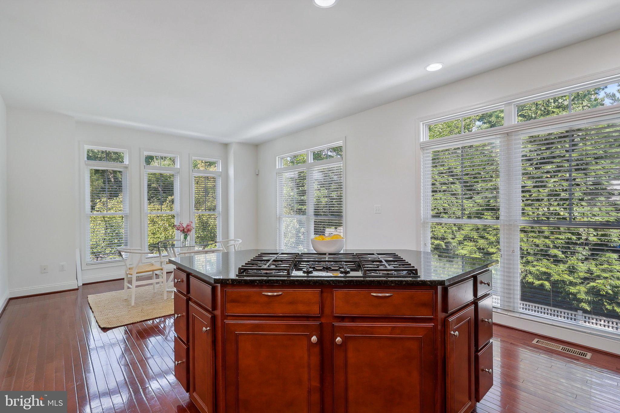 519 Hollingsworth Ter