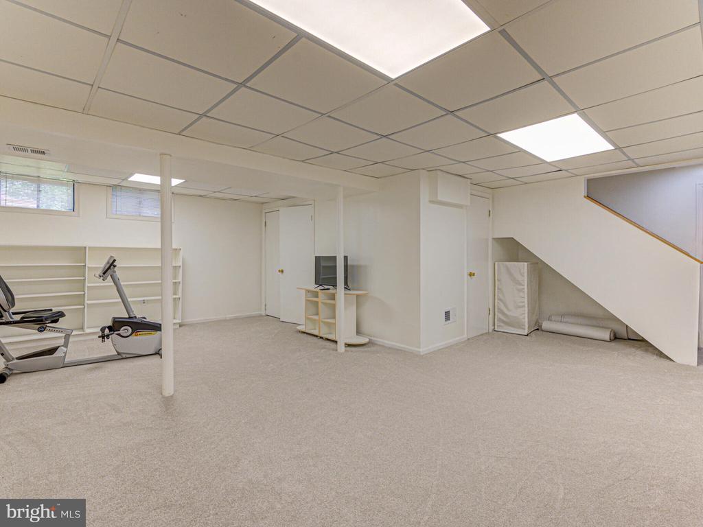 1610 Folley Lick Ct