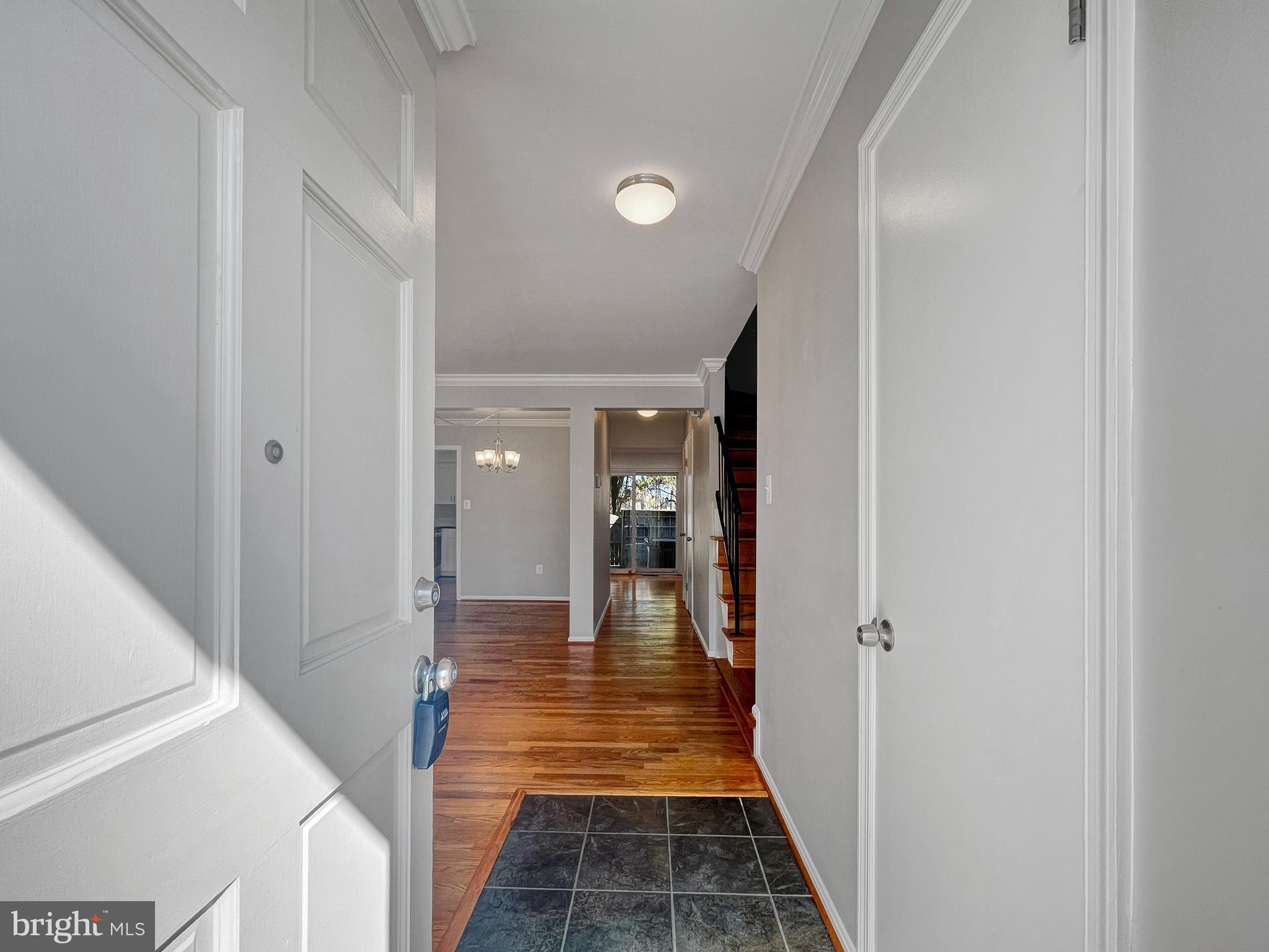 2903 Cashel Ln