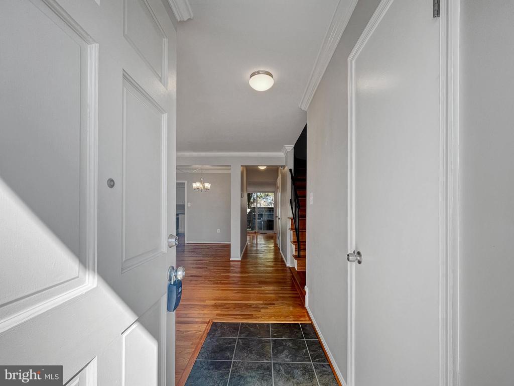 2903 Cashel Ln