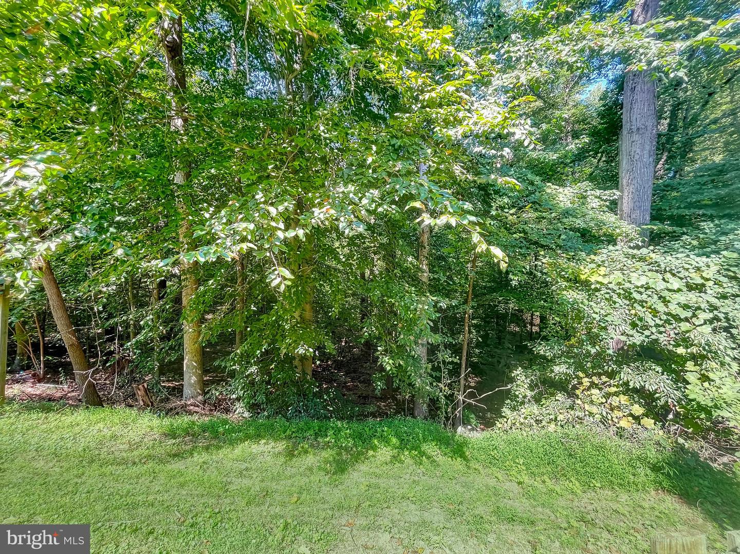 8802 Cameo Sq