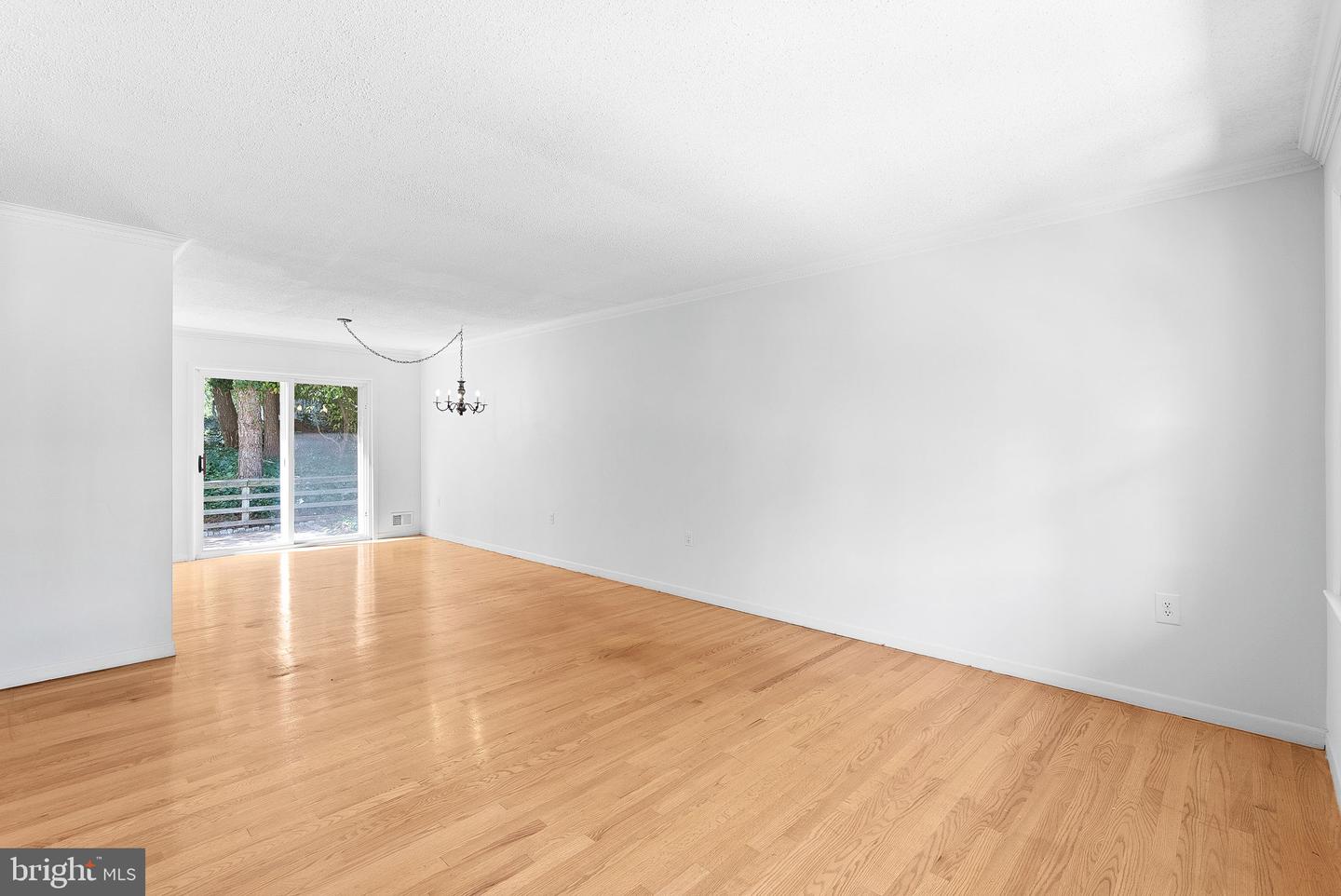 4904 Chanticleer Ave