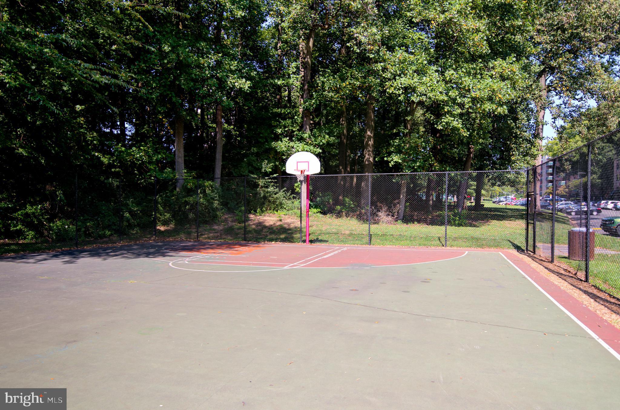 6135 Leesburg Pike #604