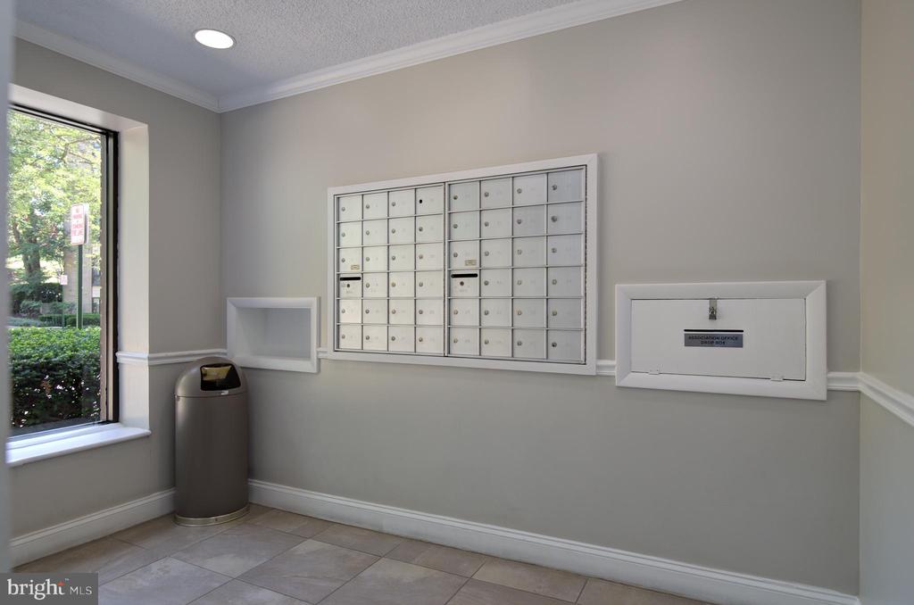 6135 Leesburg Pike #604