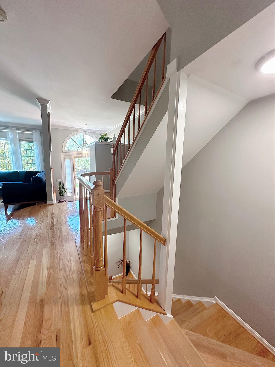 6403 Little Potters Ln