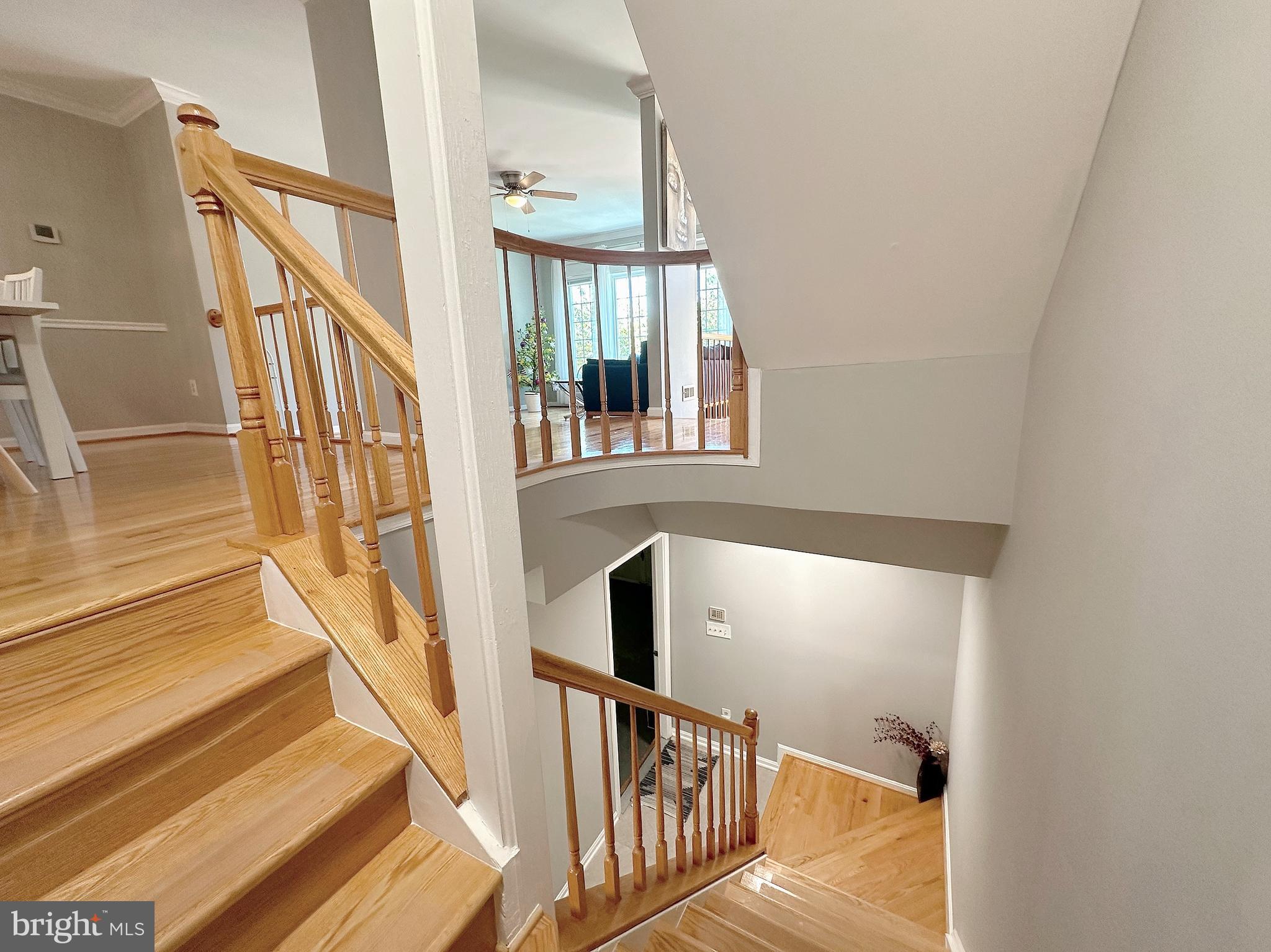 6403 Little Potters Ln