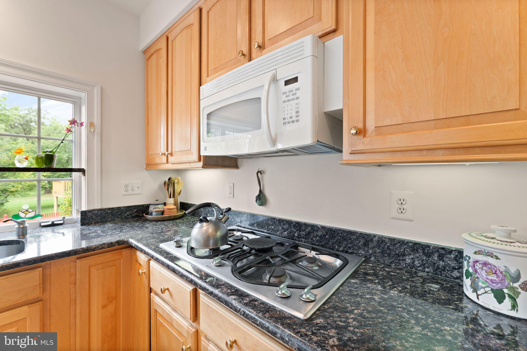 8437 Black Stallion Pl