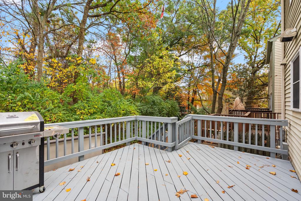 13904 Woods Run Ct