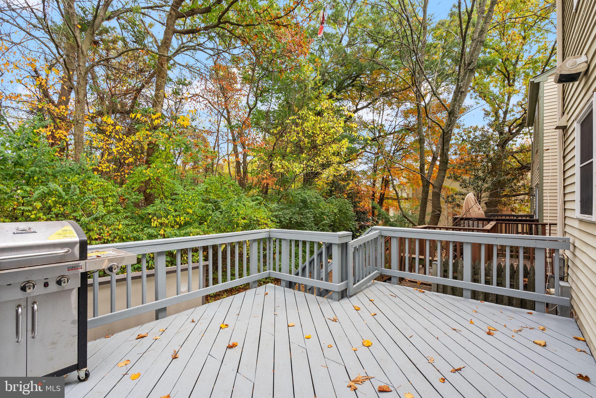 13904 Woods Run Ct