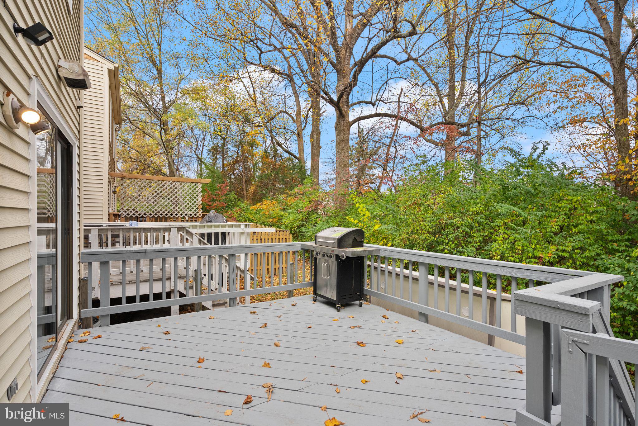 13904 Woods Run Ct