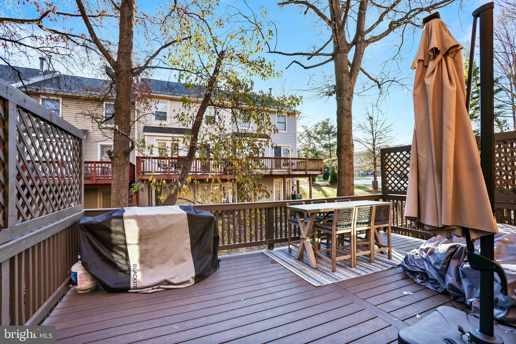 3923 Green Look Ct