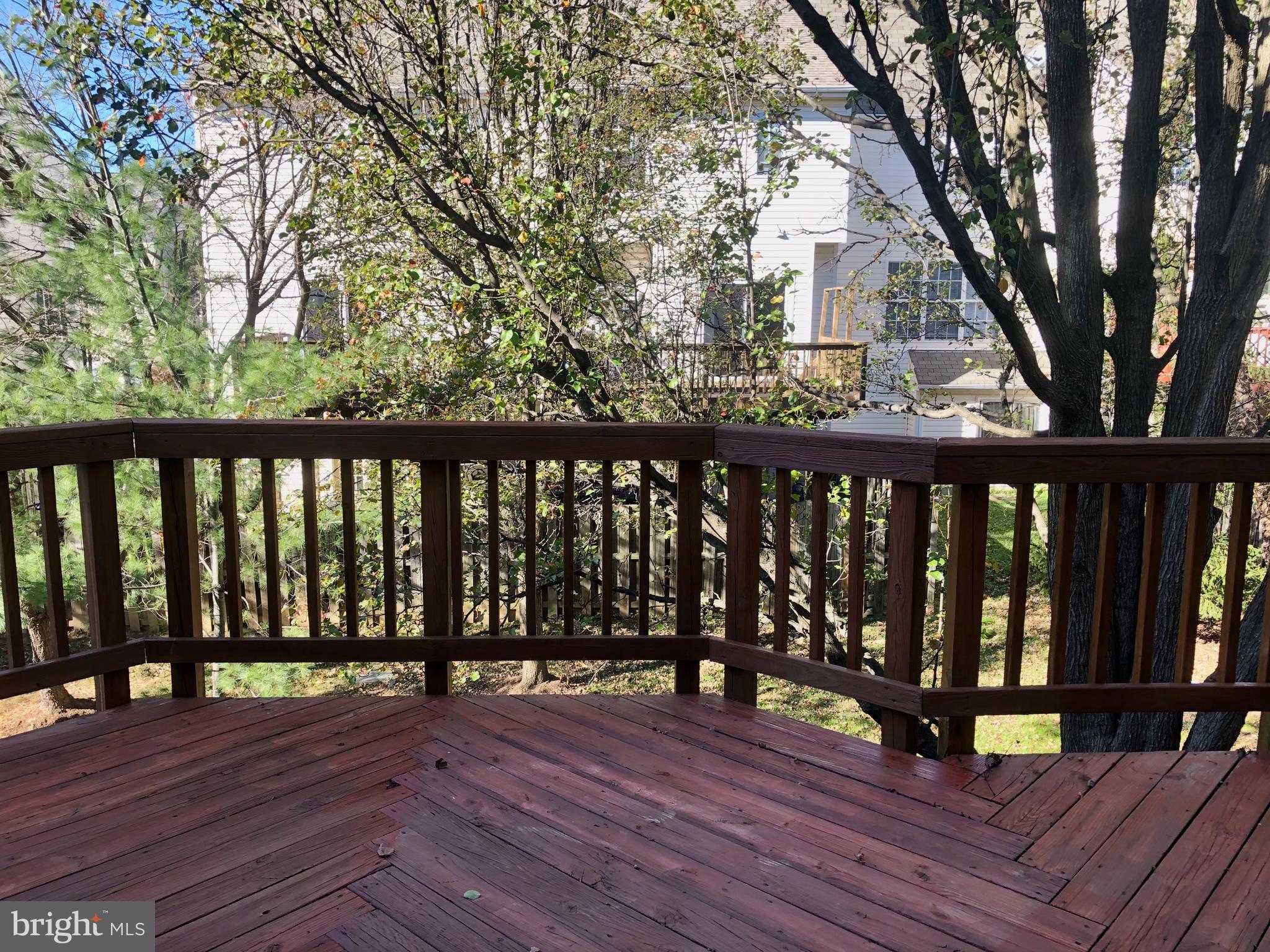 2506 CLOVER FIELD CIR