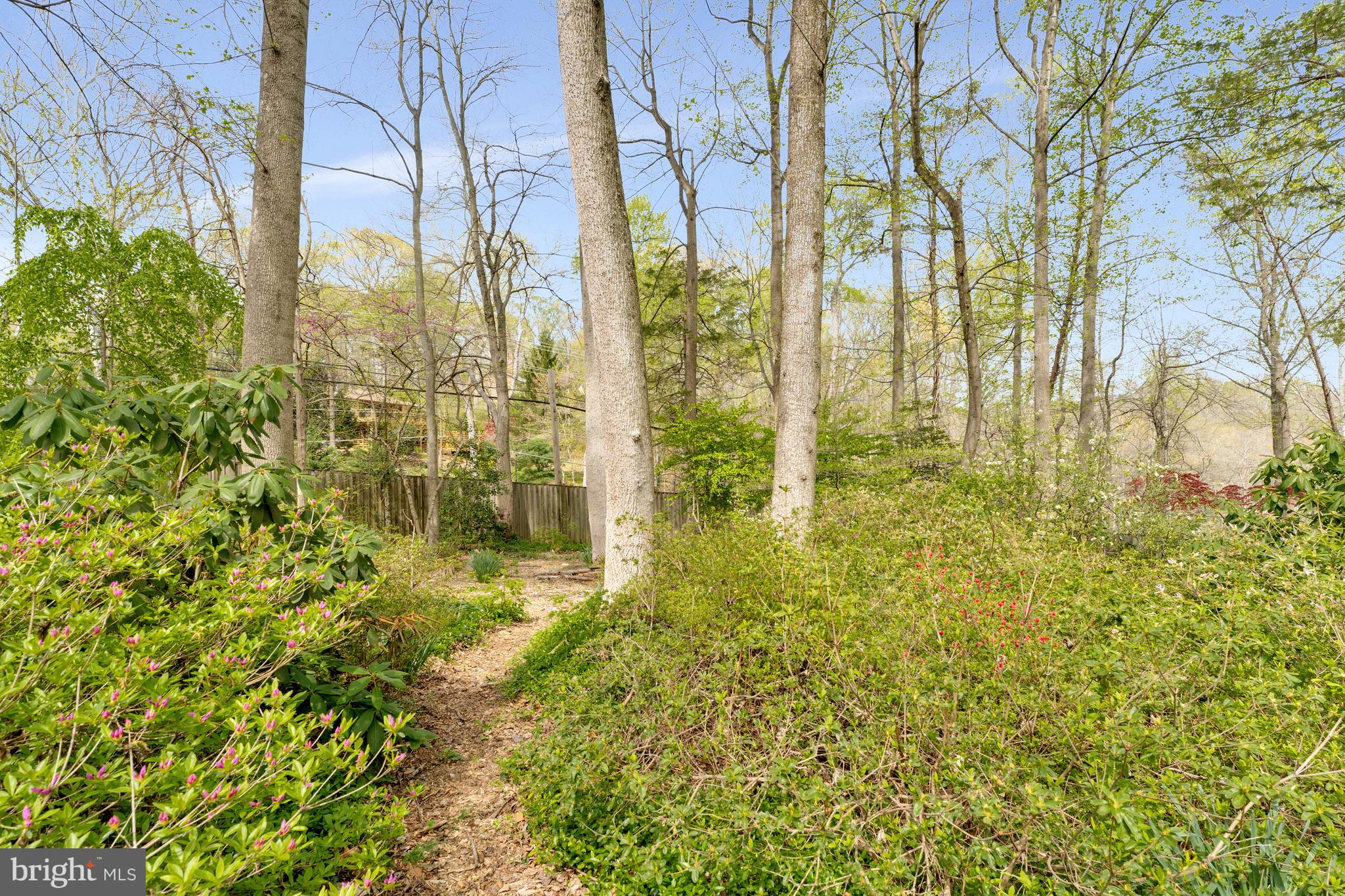 10226 Cedar Pond Dr