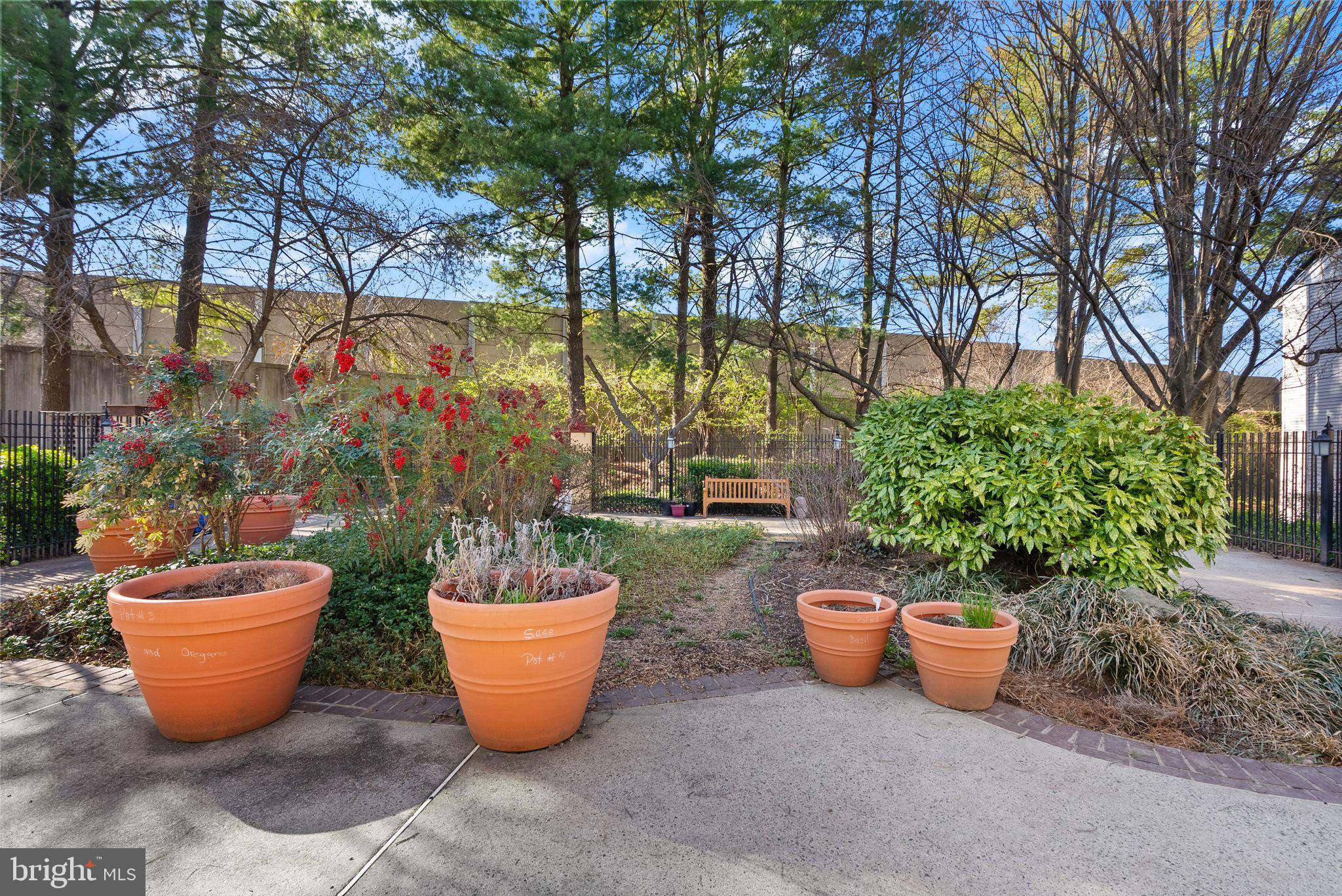 10302 Appalachian Cir #8-209