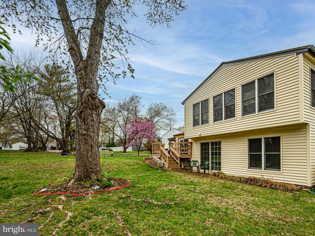 801 Mosby Hollow Dr