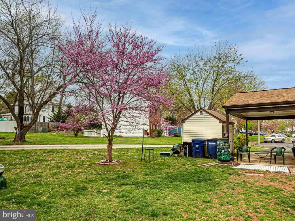 801 Mosby Hollow Dr