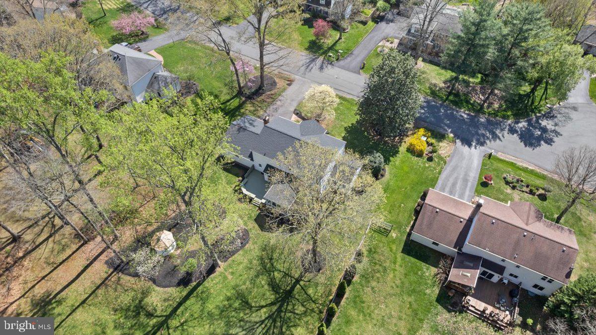 905 Holly Creek Dr