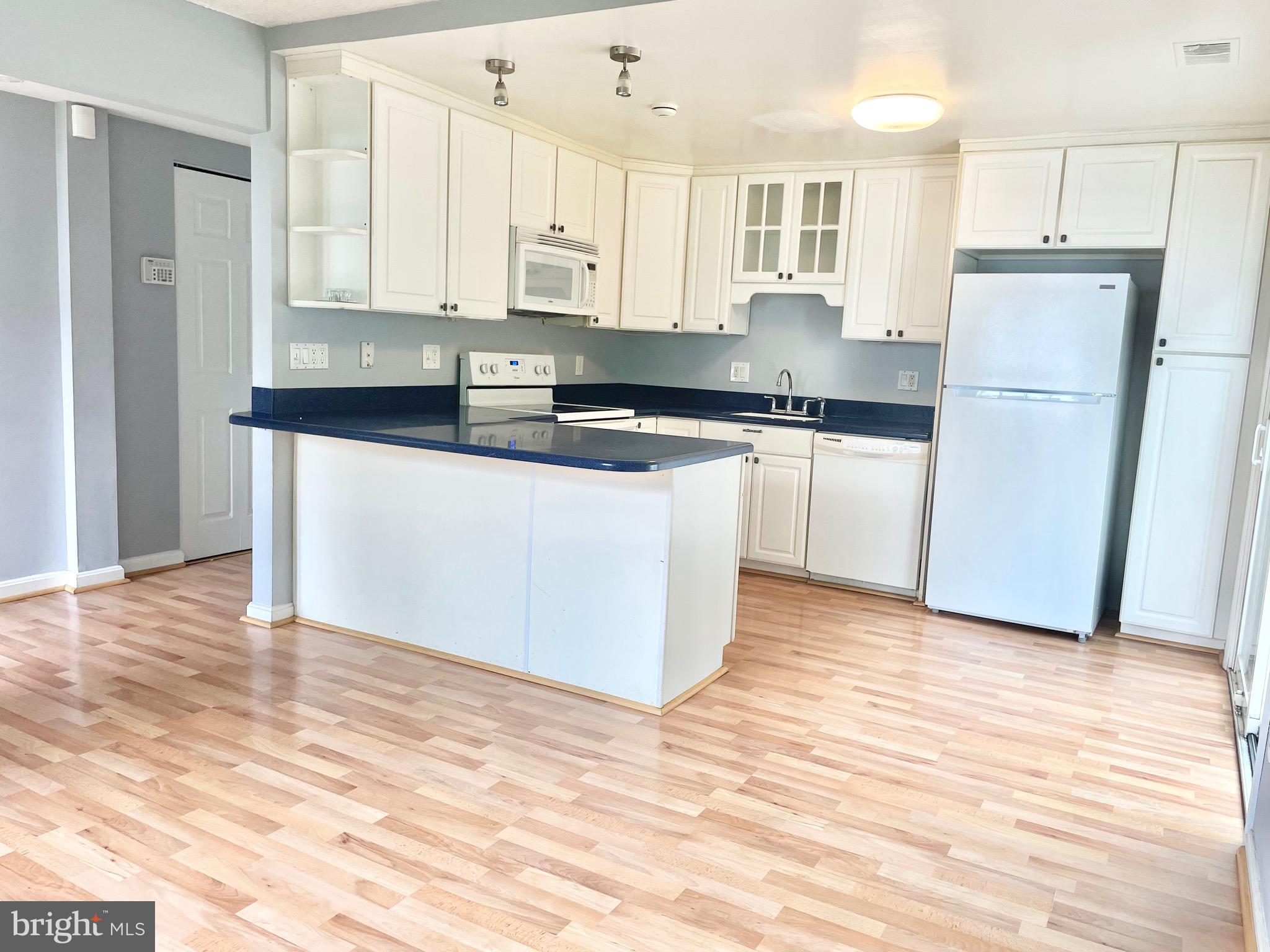 1009 KINGS CT