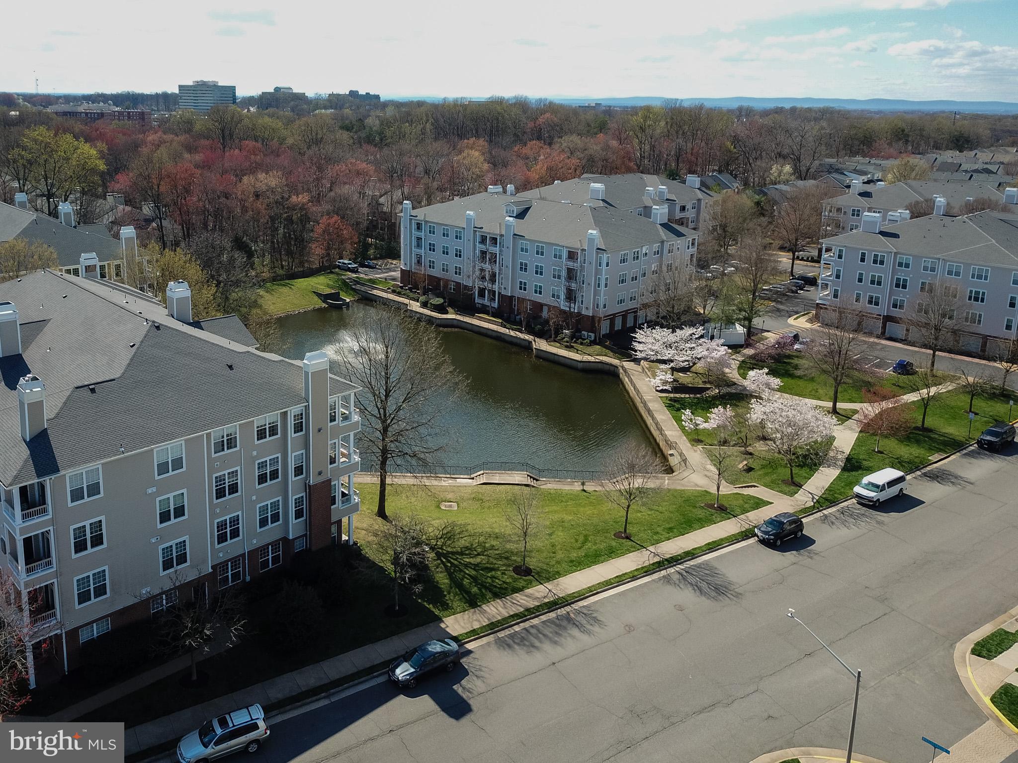 4210-P MOZART BRIGADE LN #P