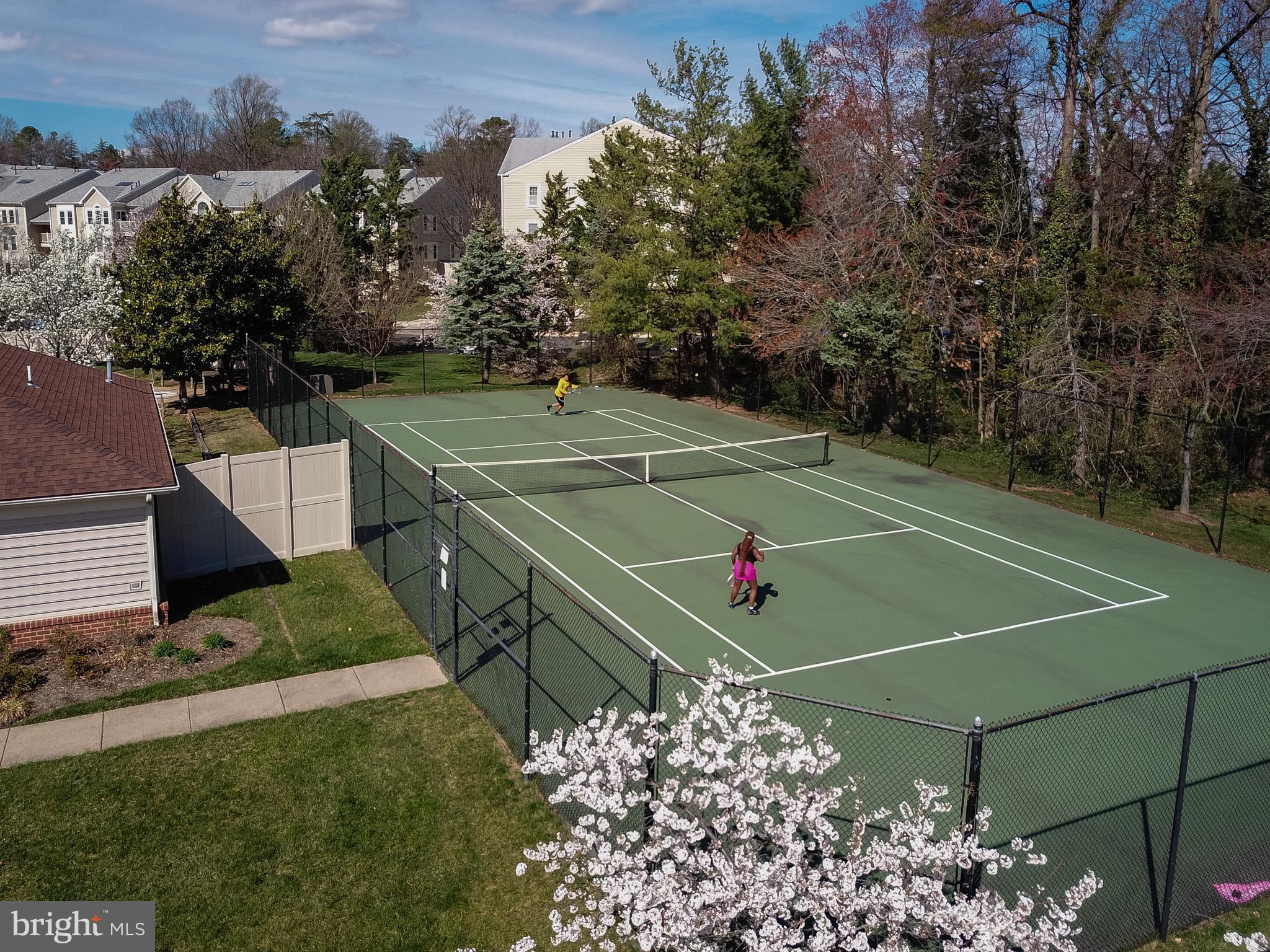 4210-P MOZART BRIGADE LN #P