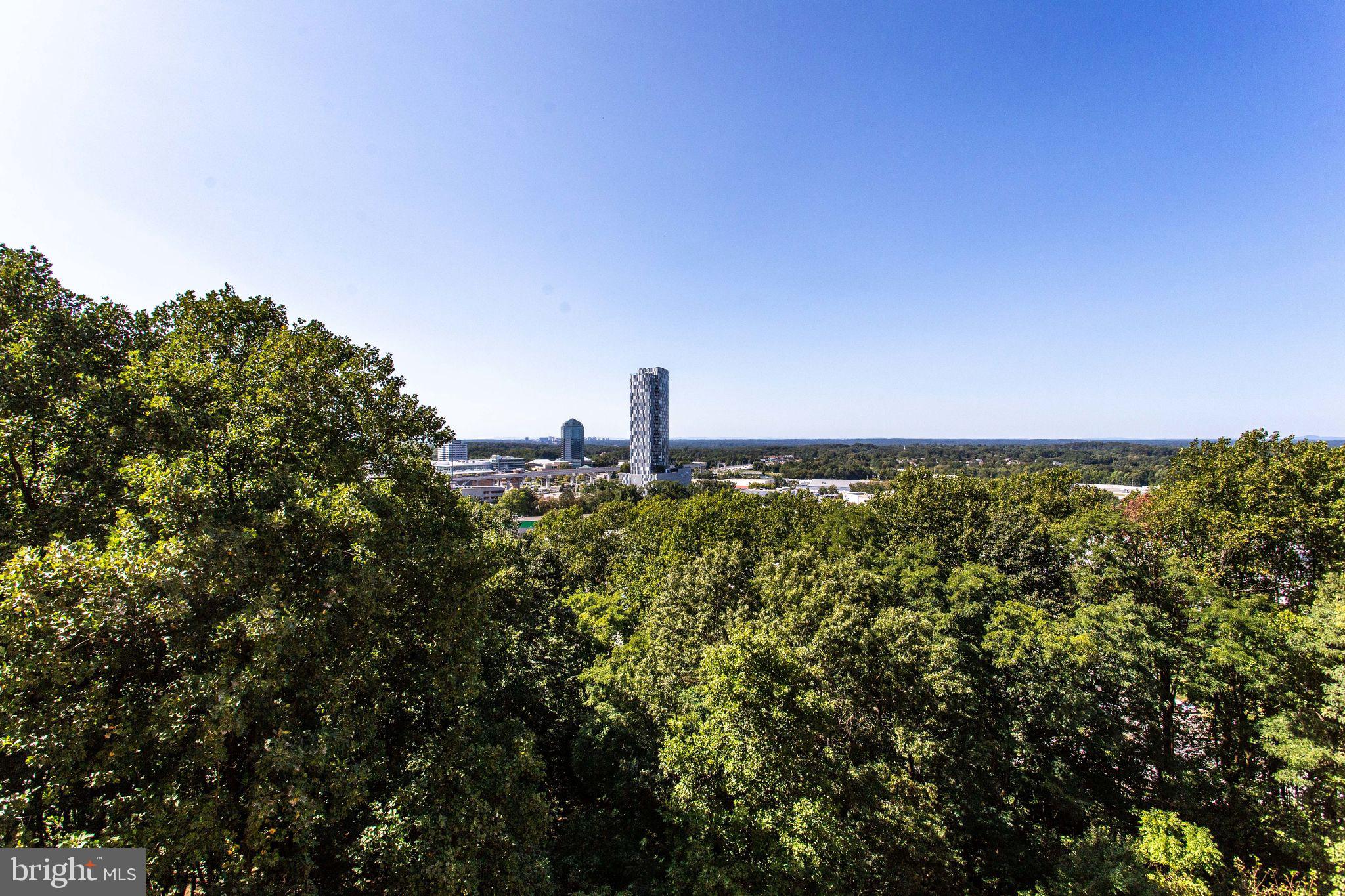 8370 GREENSBORO DR #804