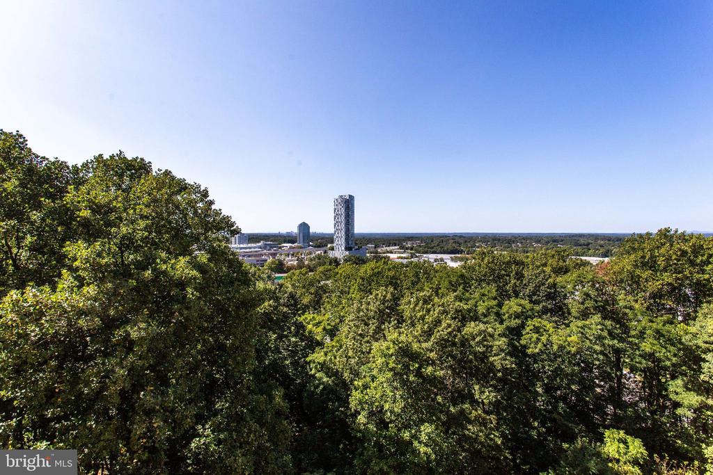 8370 GREENSBORO DR #804