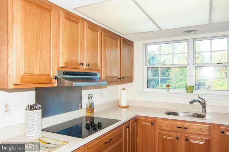 12104 GREEN LEAF CT #102