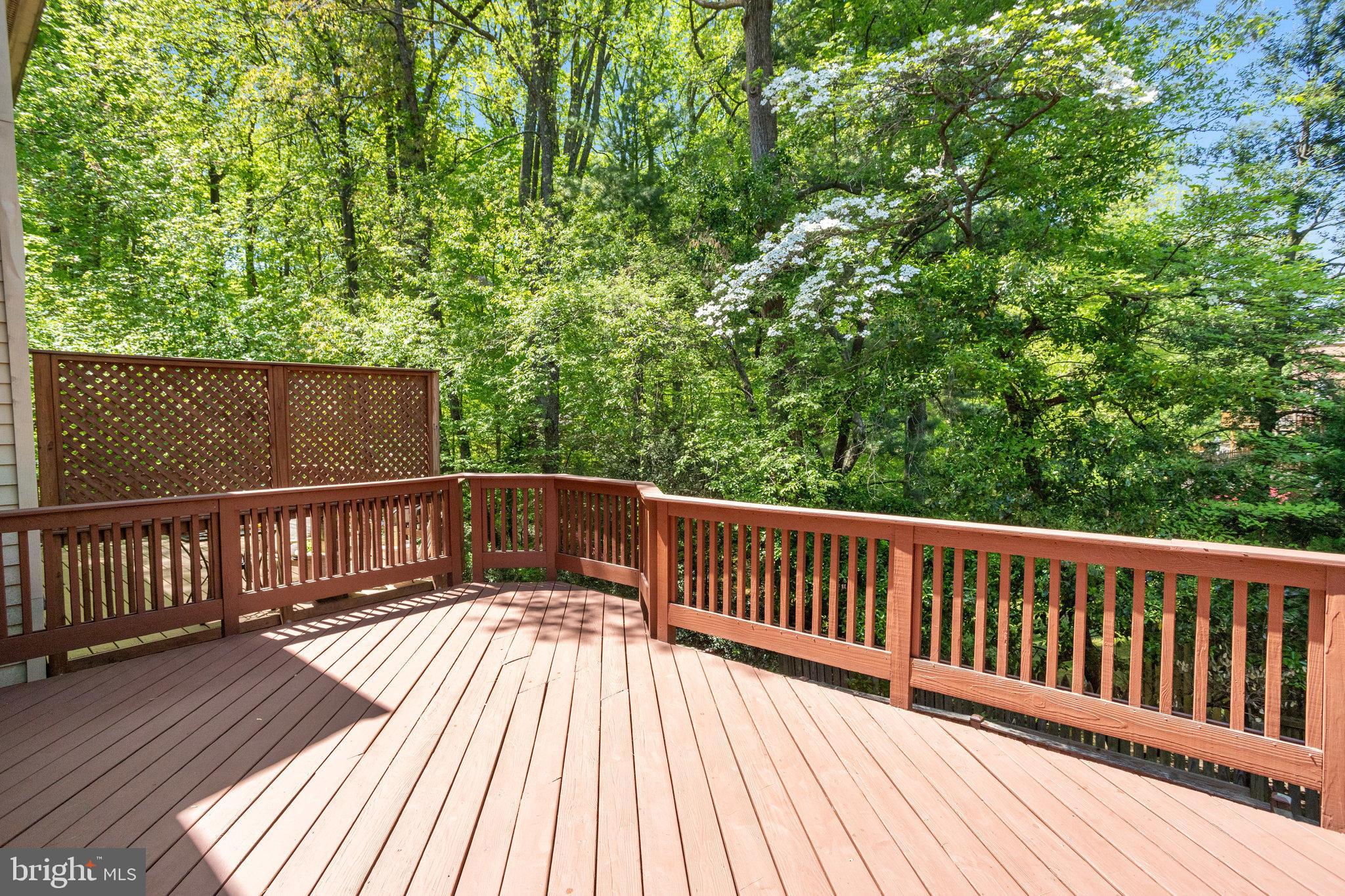 4546 LITTLE RIVER RUN DR