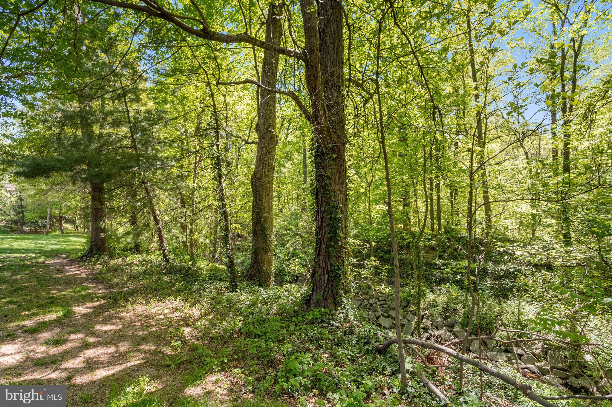 4546 LITTLE RIVER RUN DR