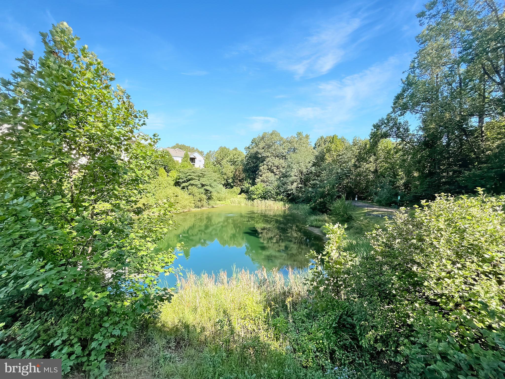 12003 Ashford Green Dr