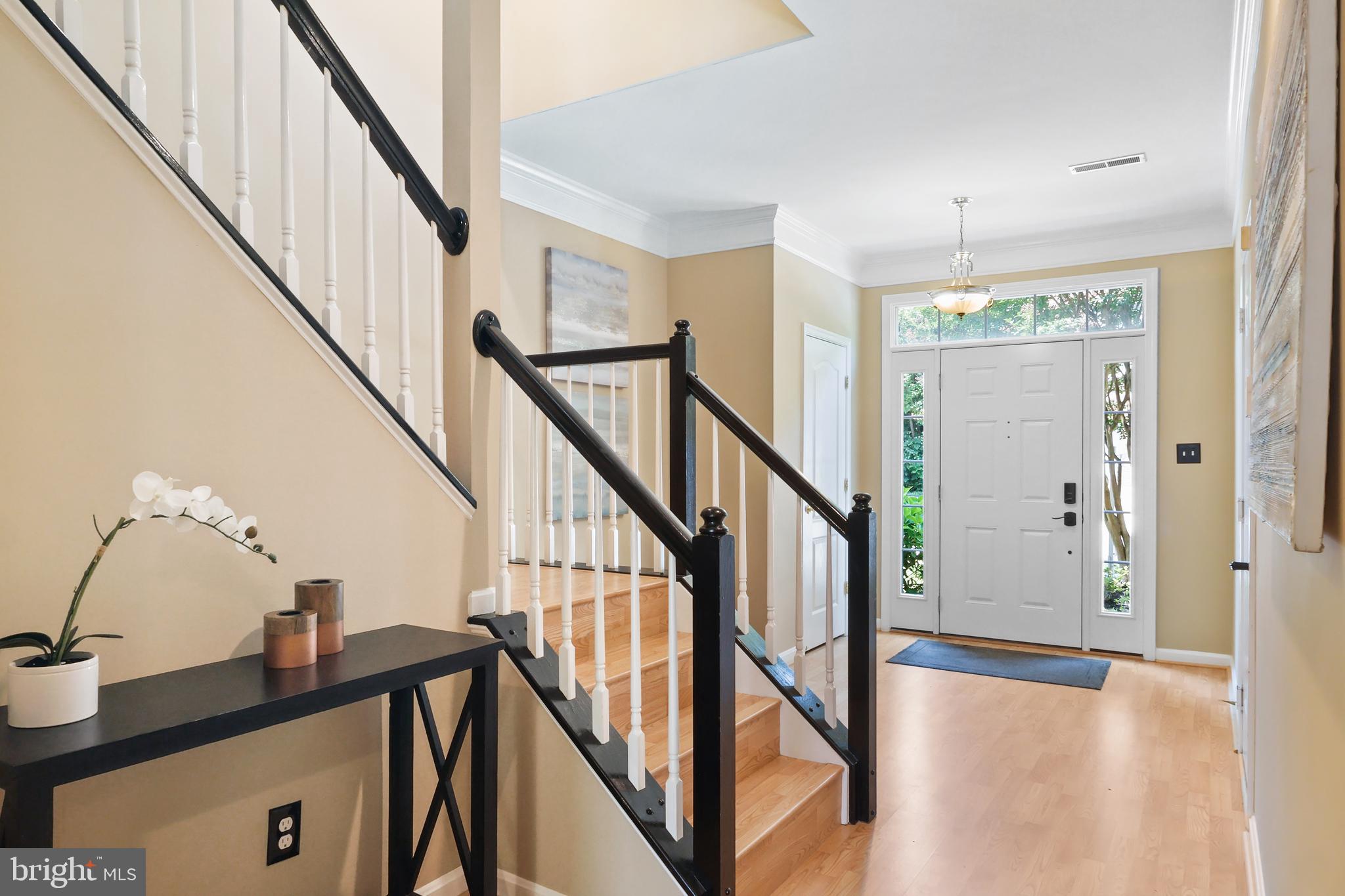 13619 Red Squirrel Way