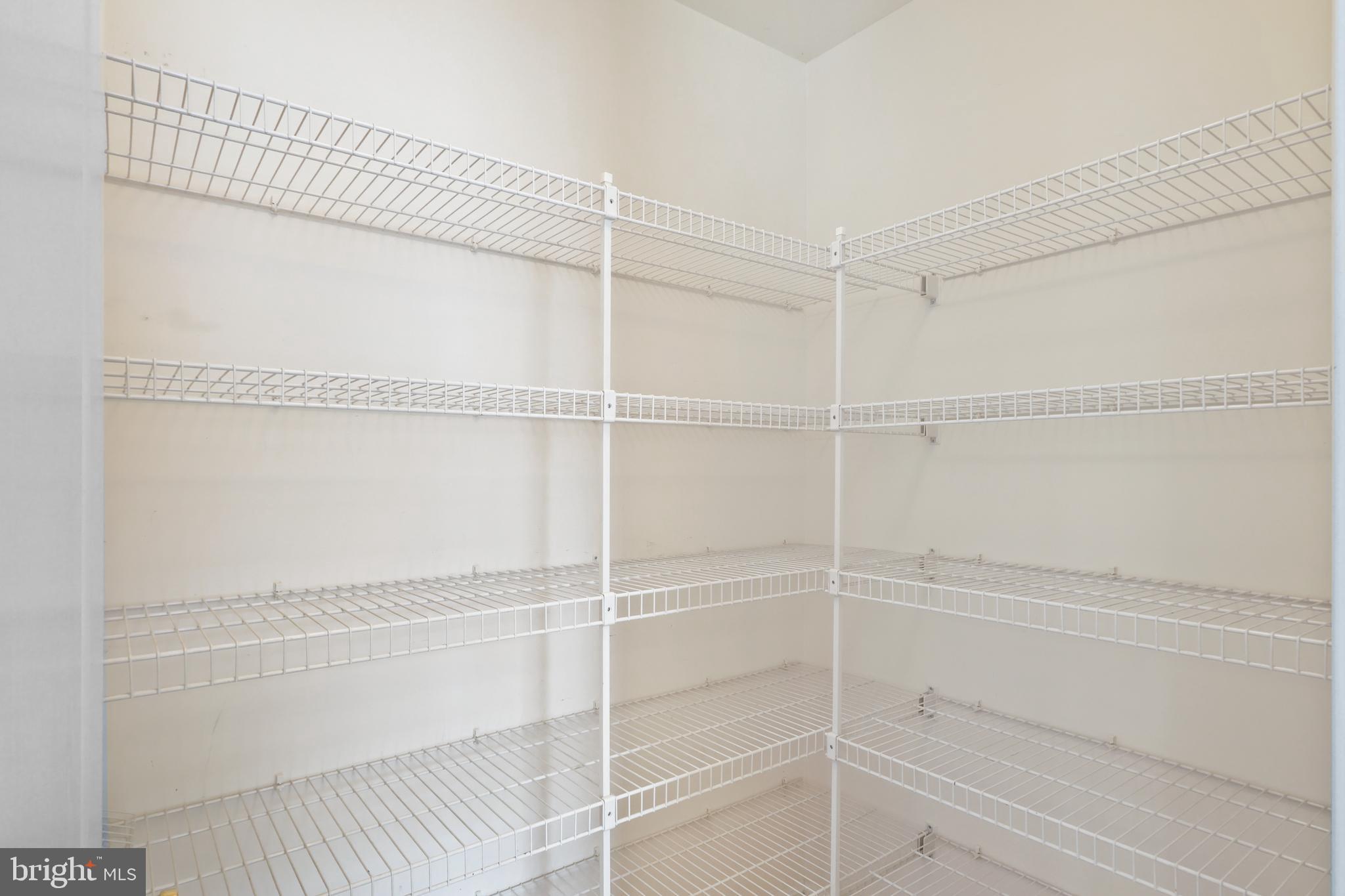 13619 Red Squirrel Way