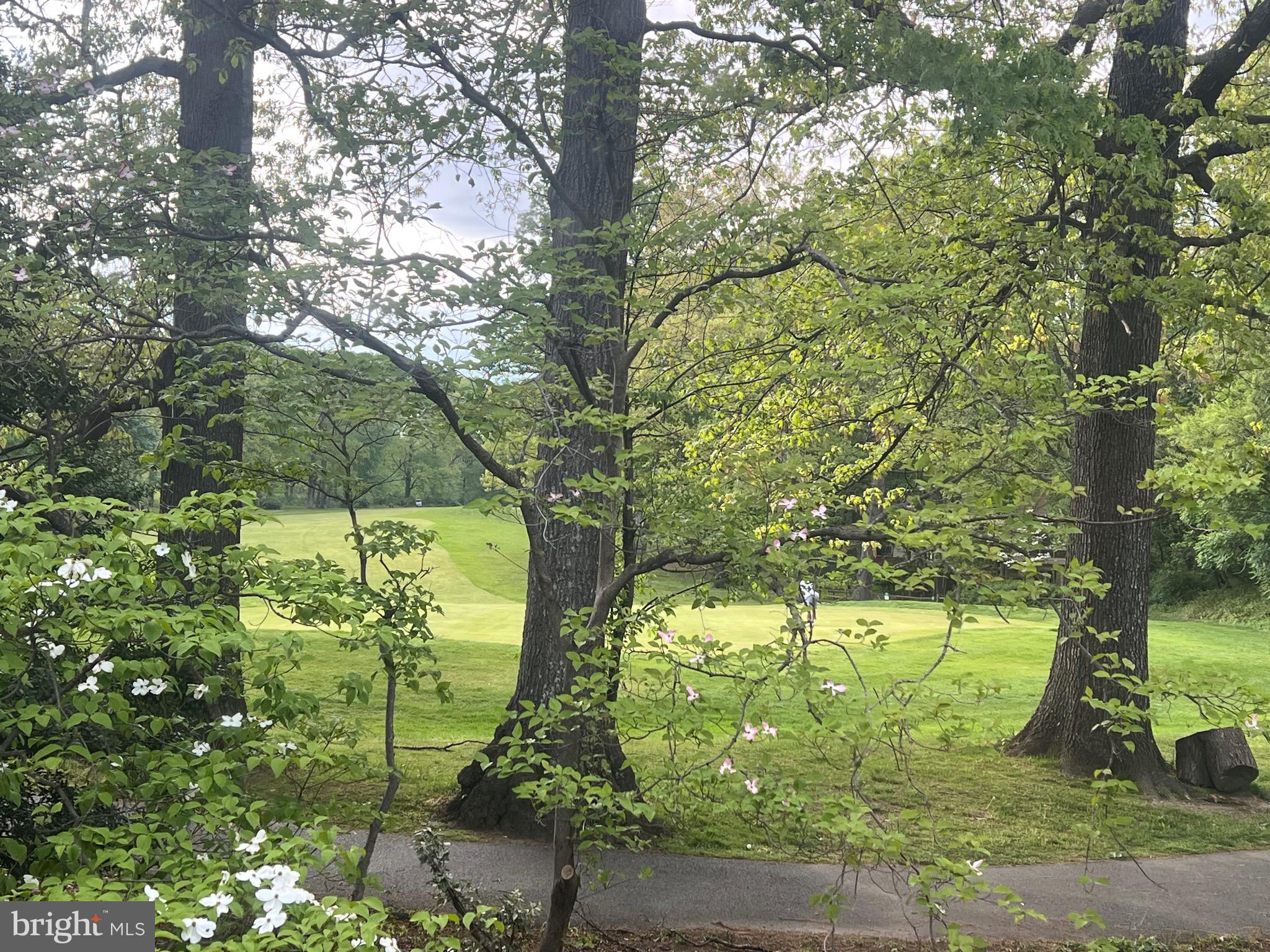 11310 HARBORSIDE CLUSTER